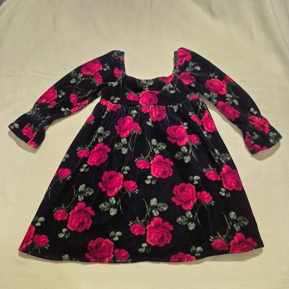 Janie and Jack girls size 4 dress marine rose print velvet EUC